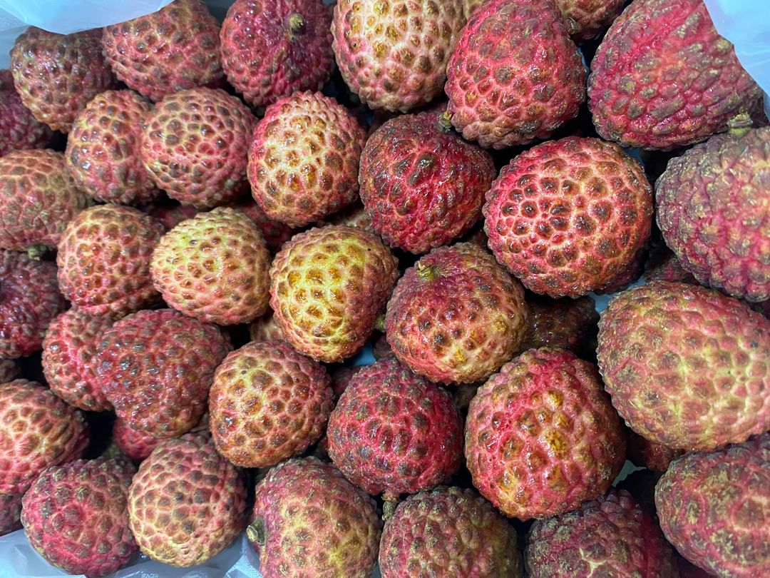China Nuo Mi King Lychee (糯米王）