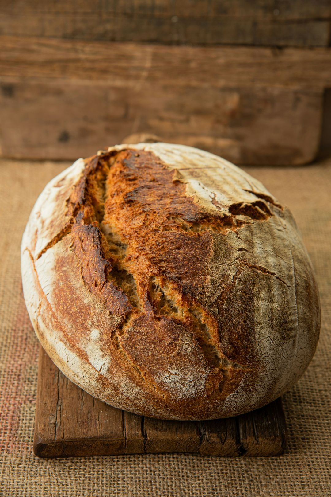[Sample] Artisan Bread