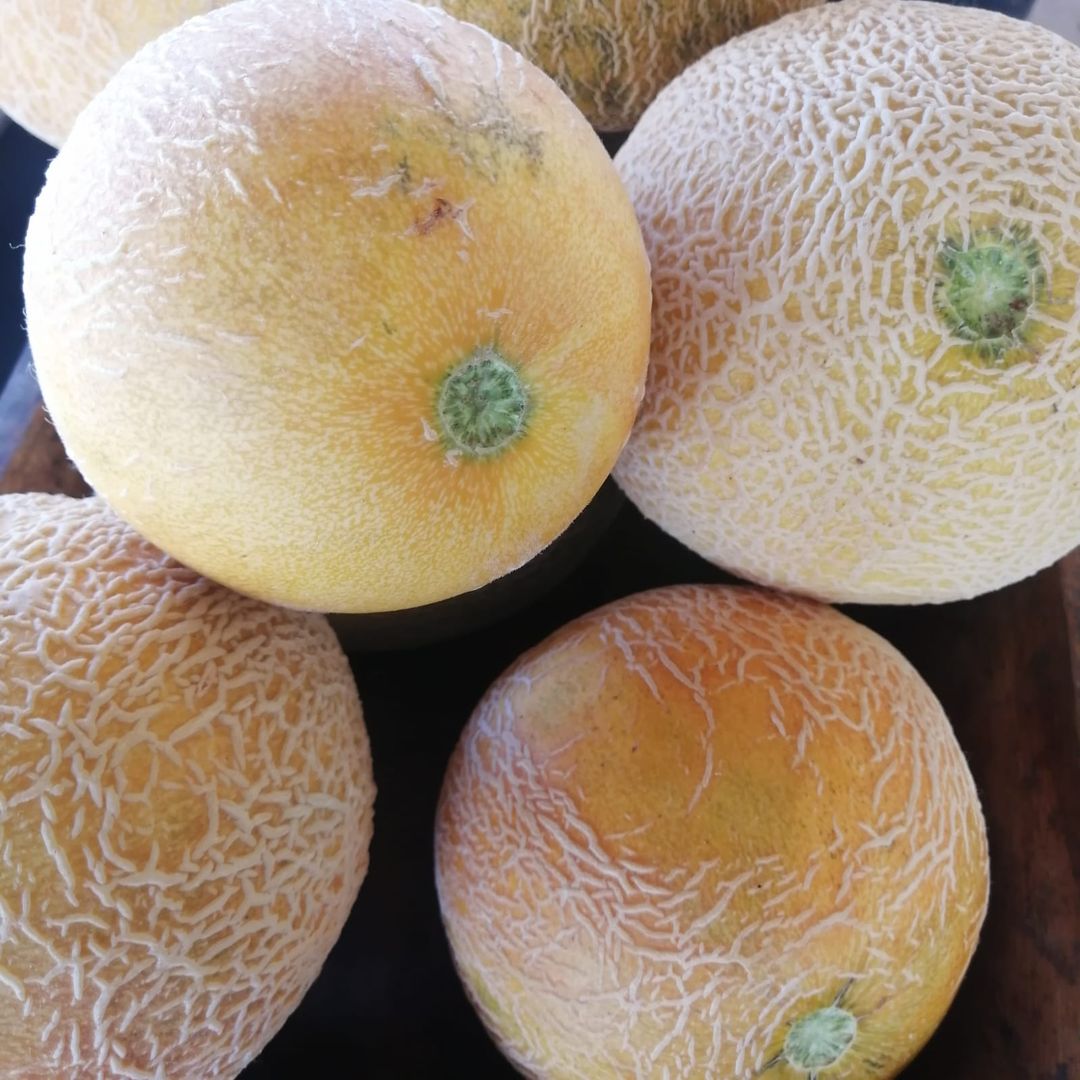 Melon 1 lb / Melón 1 lb