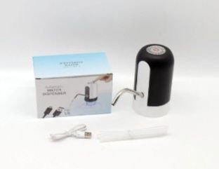 Electric water pump