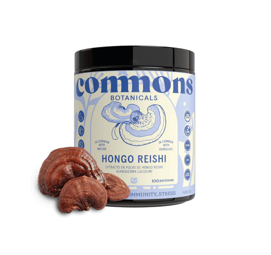 Reishi Extracto 100 g Commons