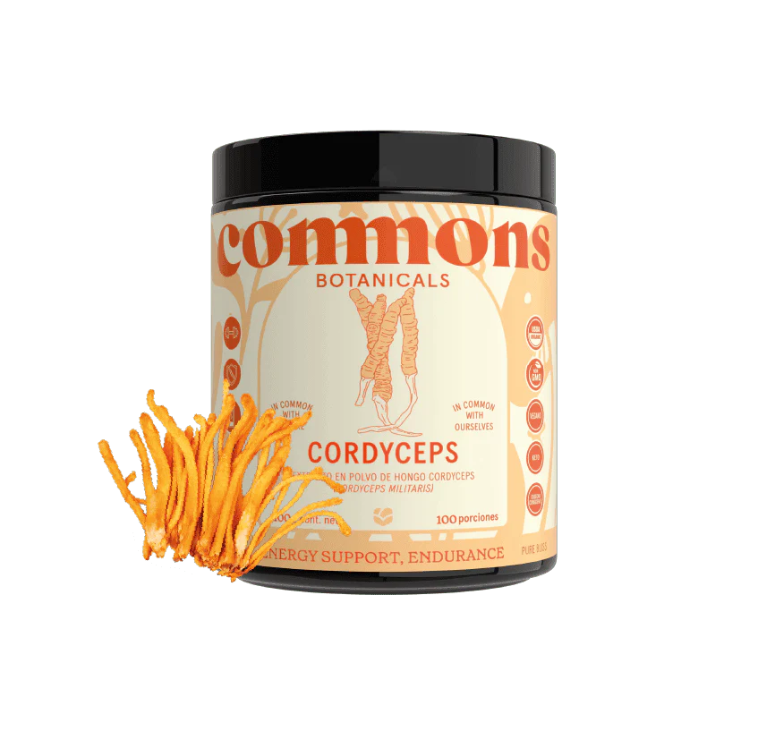 Cordyceps Extracto 100g Commons