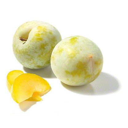 USA Family Tree Flavour Grenade Plucot 