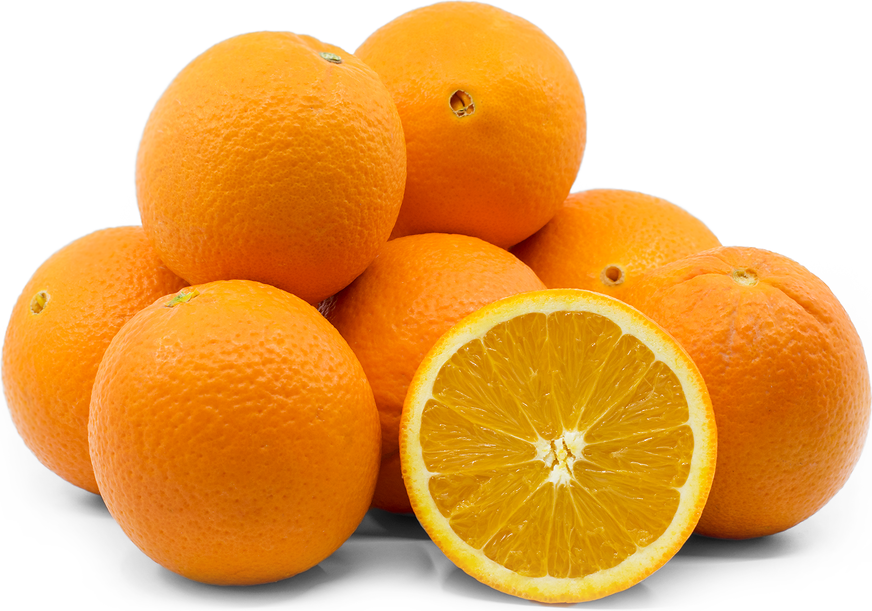 Aust Venus Jumbo Navel Orange