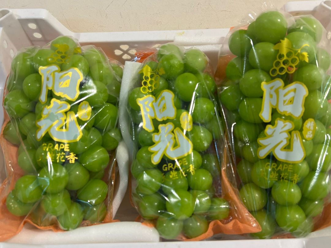 China Shine Muscat