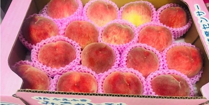 Japan Yamanashi Daitouryou Momo Peach - 2 Pieces
