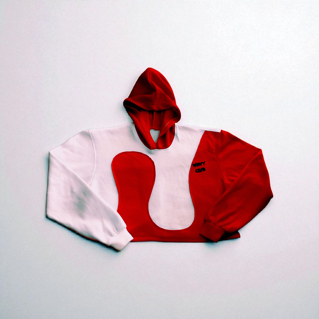 2 tone Cropped  Hoodie 