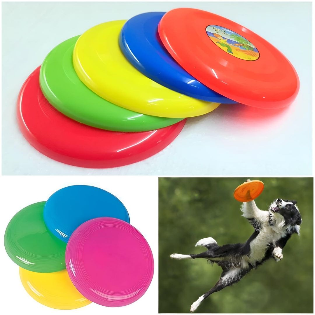 Frisbee Flying Disk
