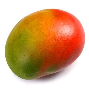 Sac Mangue