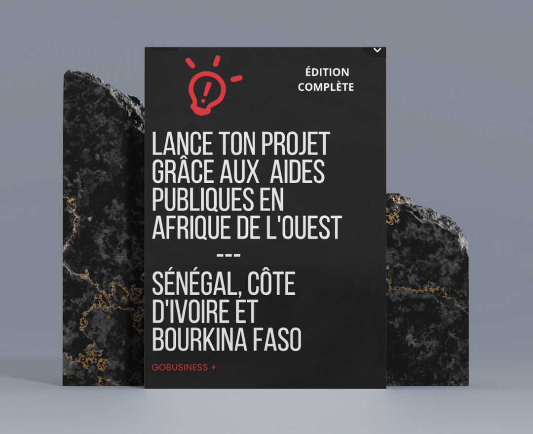 Lance ton projet grâce aux aides publiques en Afrique de l'Ouest ( Sénégal, Côte d'Ivoire et Bourkina Faso) 