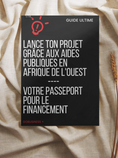 Lance ton projet grâce aux aides publiques en Afrique de l'Ouest (GRATUIT) 