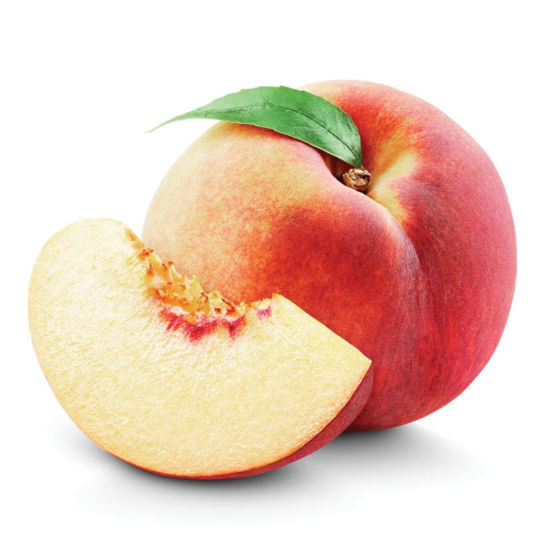 USA Family Tree White Peach