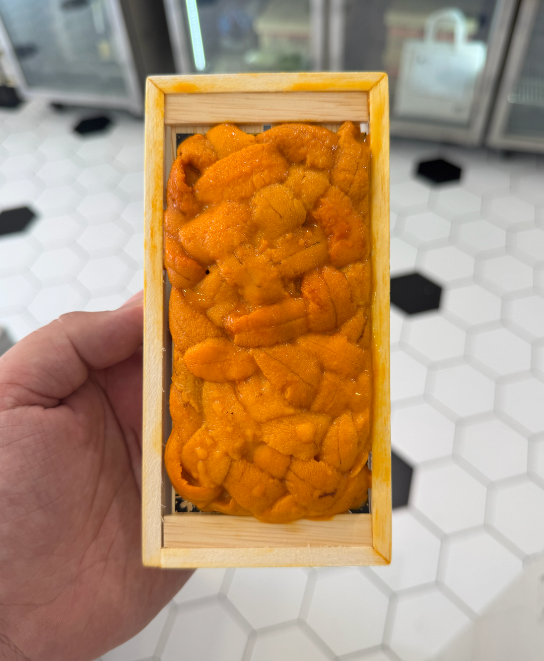 (FALL DOWN UNI) 100g '石田/秋山/鷗洋' Bafun Uni