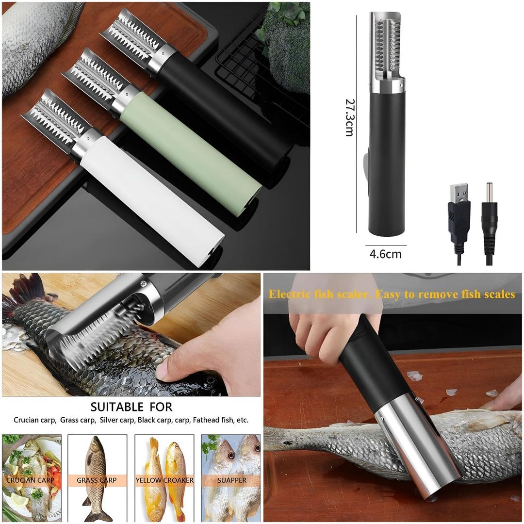 Automatic Fish Scale Scraper