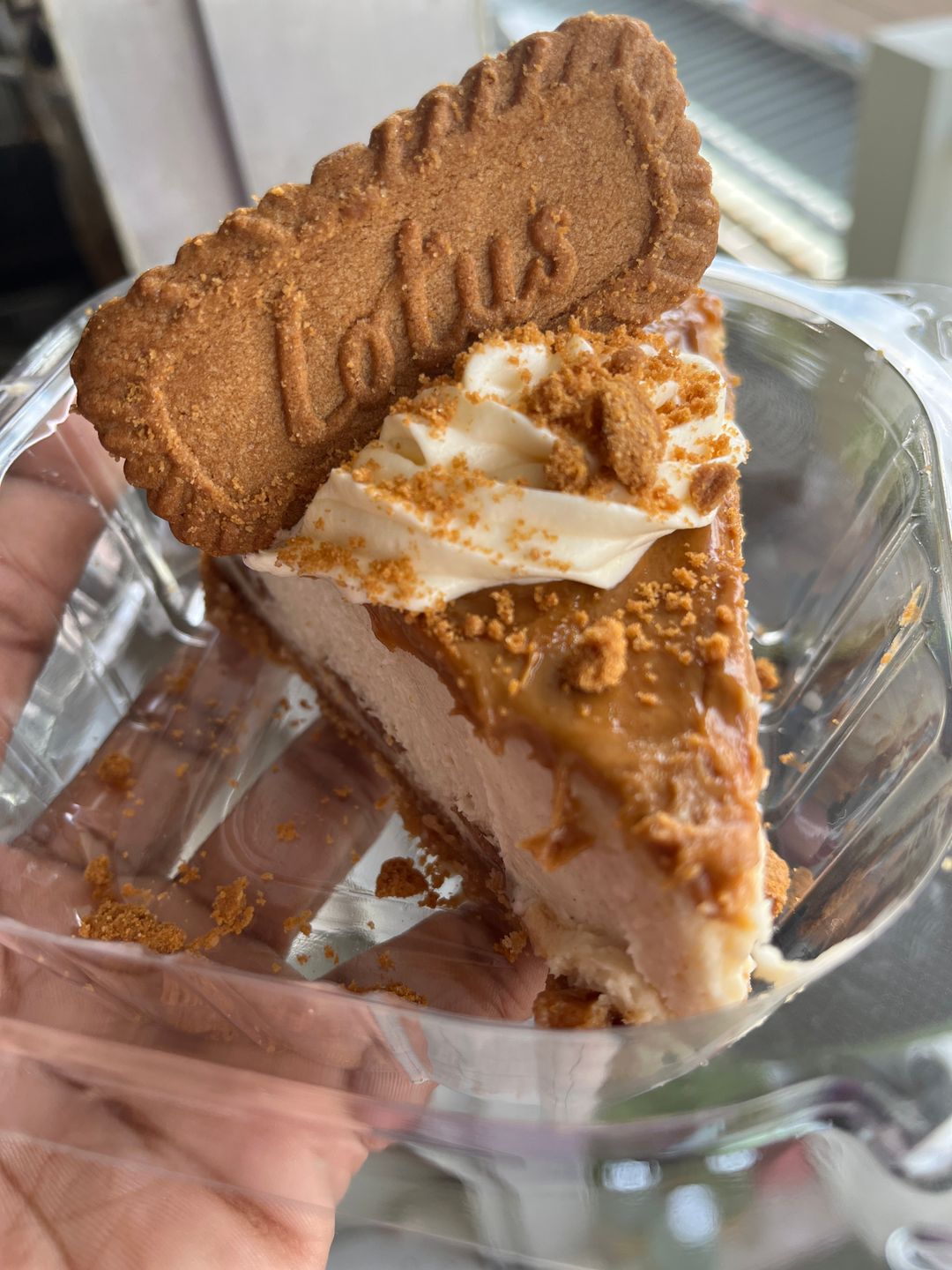 Cheesecake Slice 
