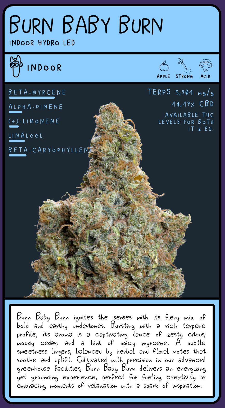 Burn Baby Burn 🔥 (CBD) 🌿(3Gs) 🍁