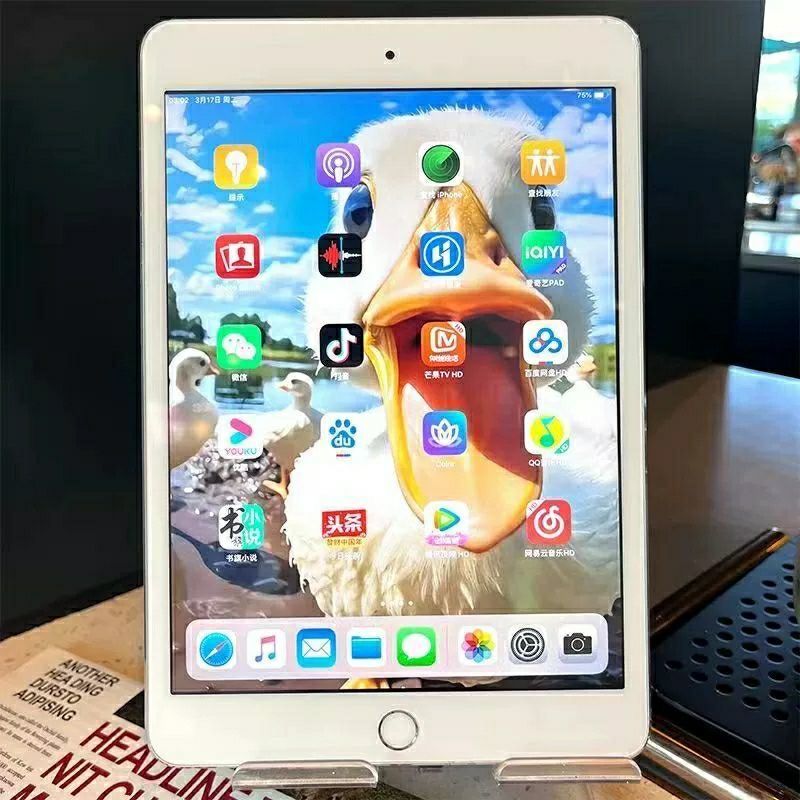 Ipad mini 4