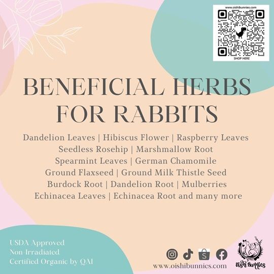 Organic Herbs