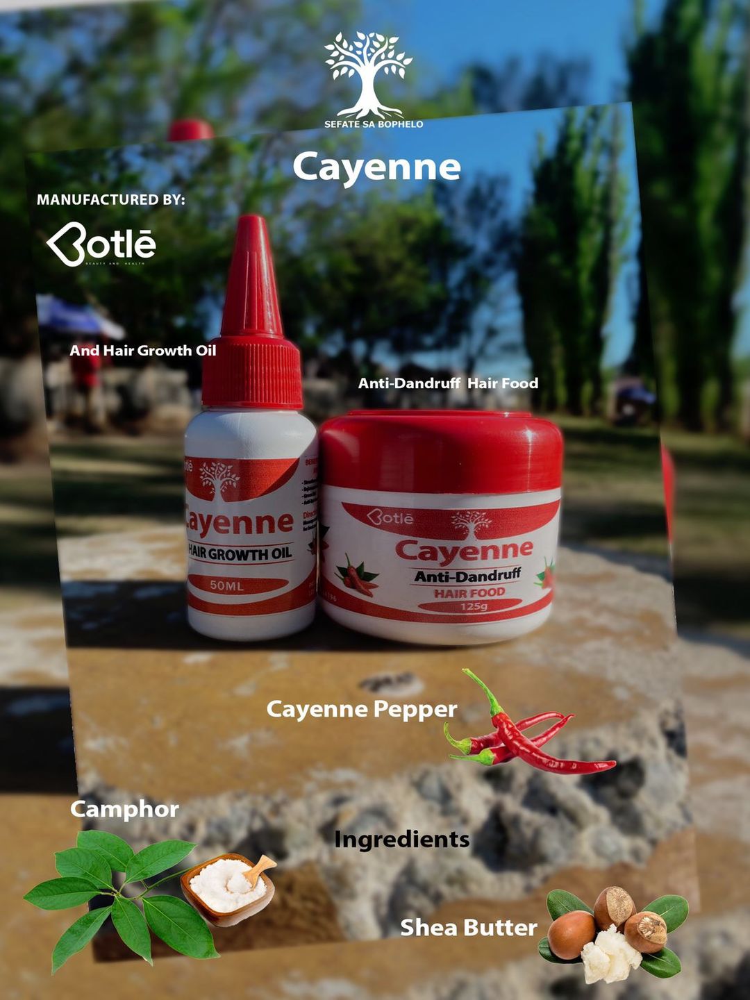 Hair growth and Antidandruff Combo