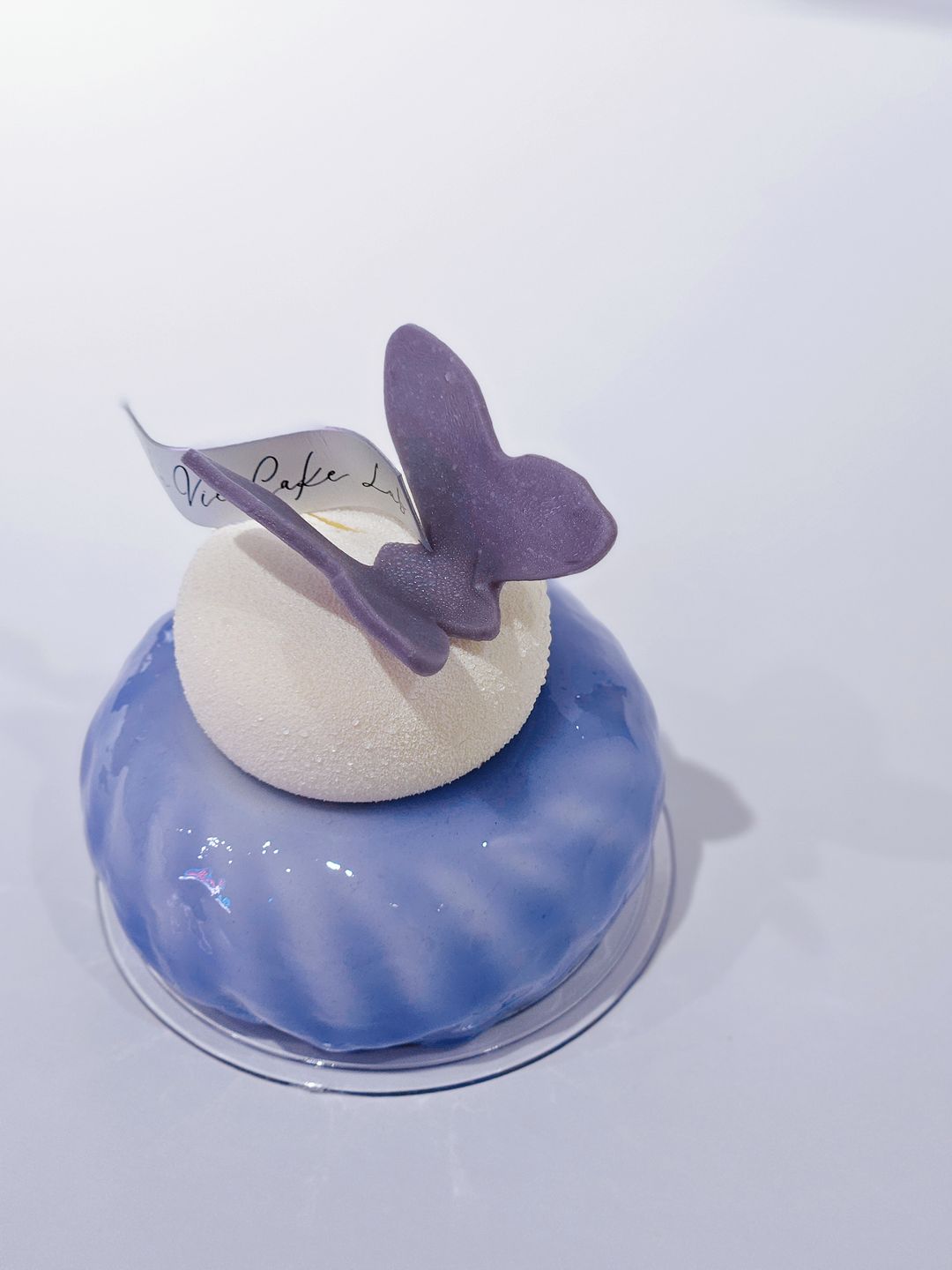 Viola (New)