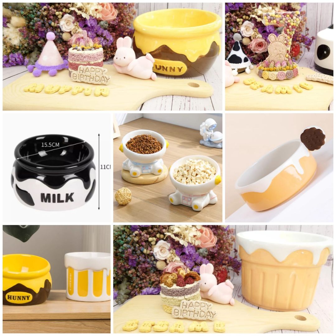 Elevated Ceramic Water Bowl