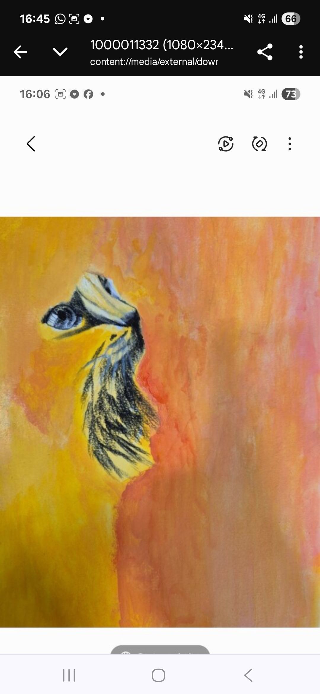 Wildlife fire