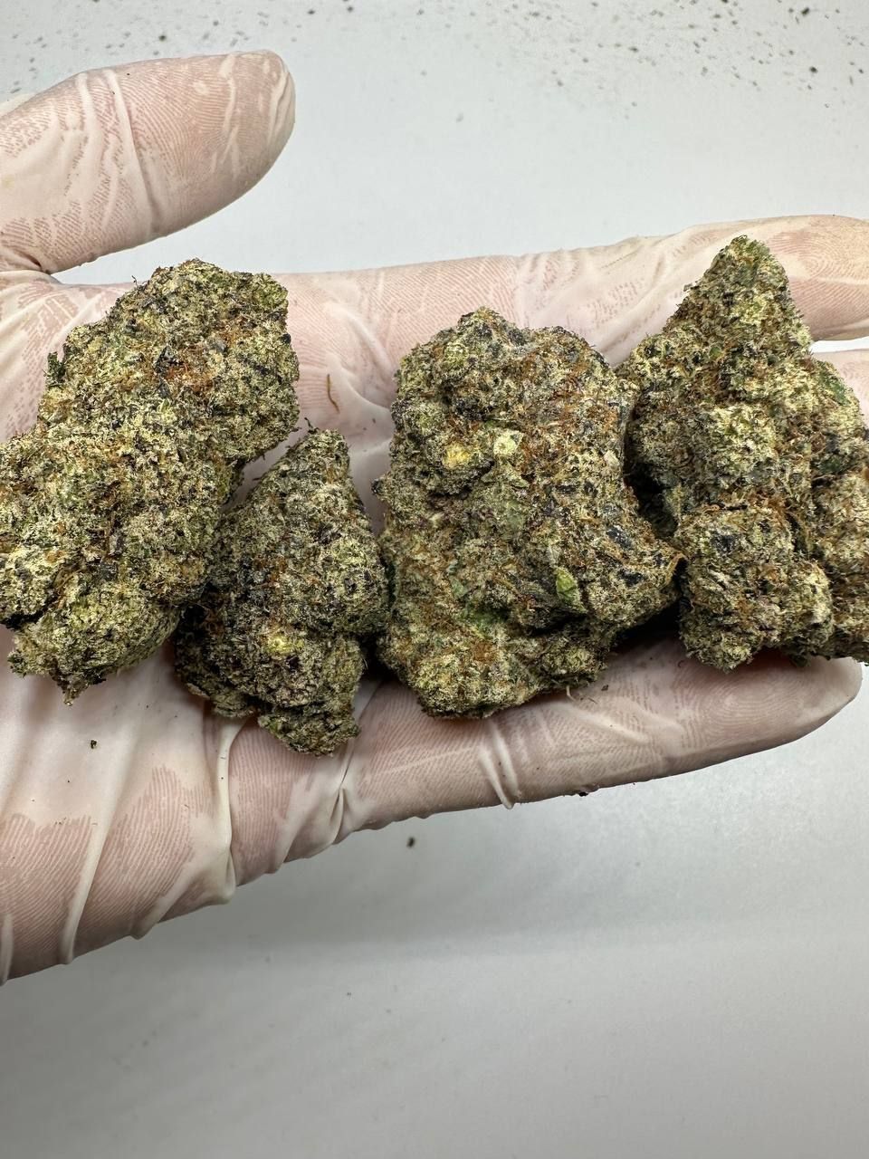 🇺🇸 Californian Top-Shelf Cannabis – Forbidden Fruit (Cherry Pie x Tangie)