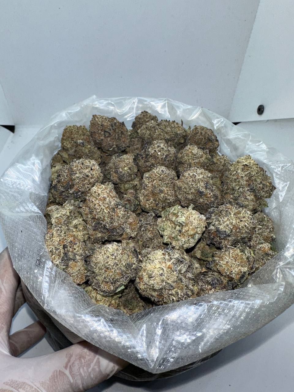 🇺🇸🇳🇱 Dutch Cali – Purple Punch (Larry OG x Granddaddy Purple)
