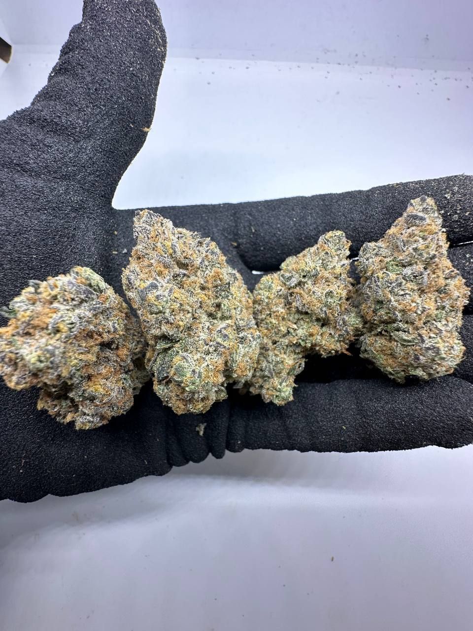 🇺🇸🇳🇱 Dutch Cali – Wedding Cake (Cherry Pie x Girl Scout Cookies)