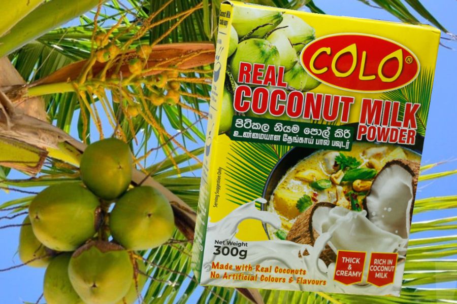 Coconut Milk Powder