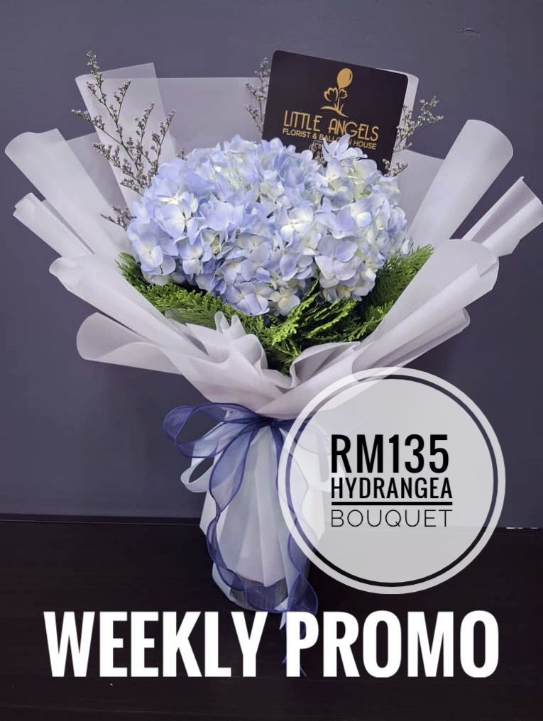 WEEKLY PROMO
