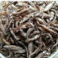 Dagaa