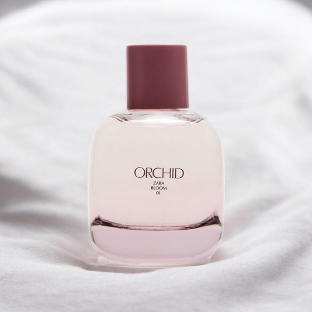 Orchid 