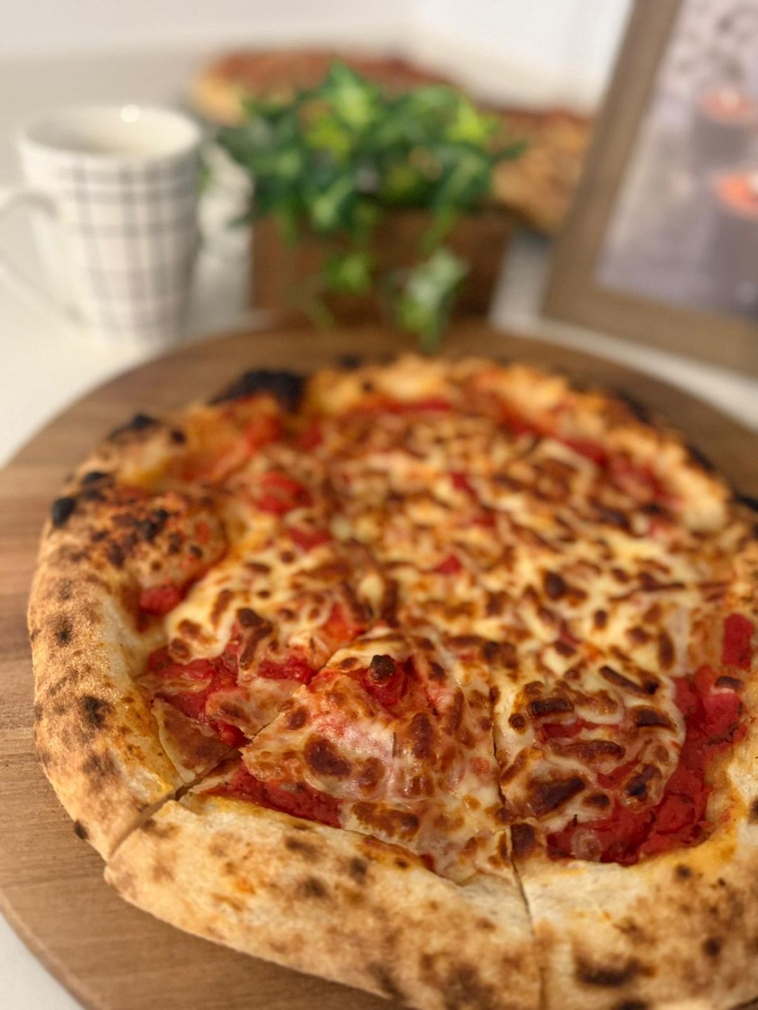 Margherita Sourdough Pizza