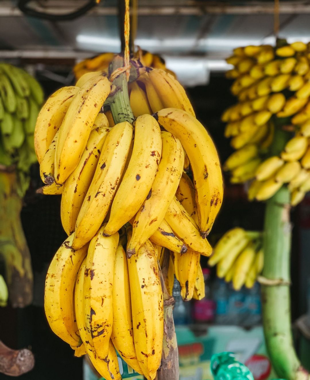 Plátanos Maduros