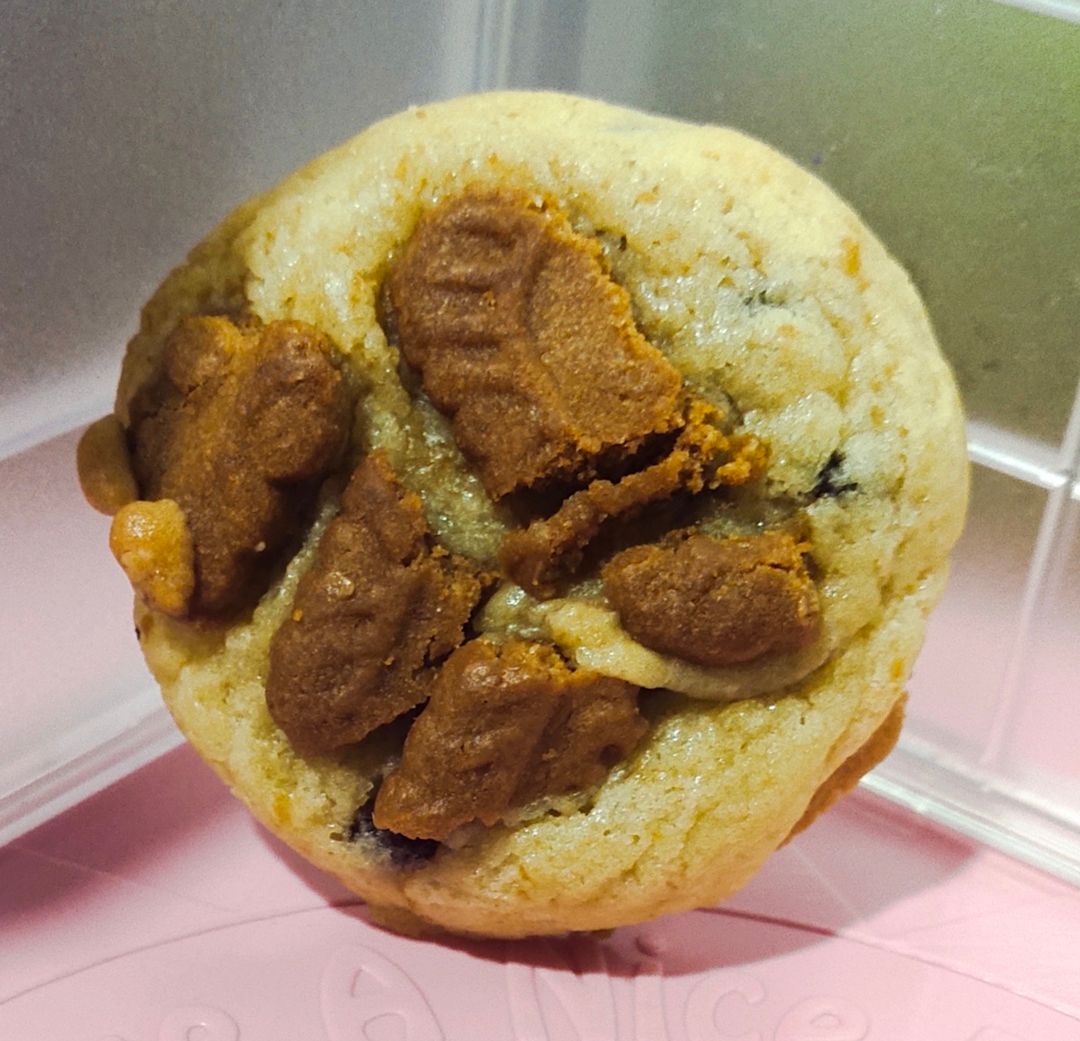 Biscoff Cookies (40g)