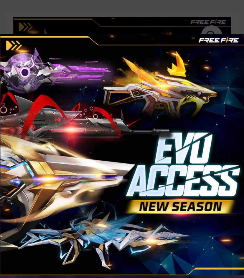 Evo access-30