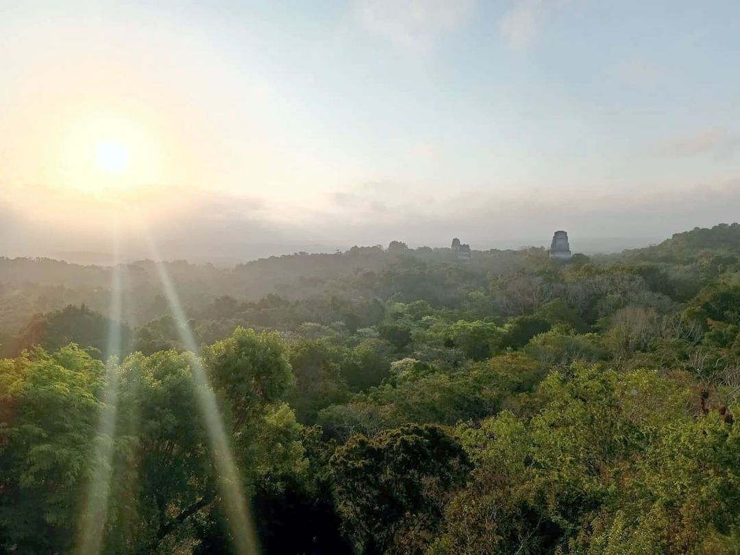 Tikal Sunrise