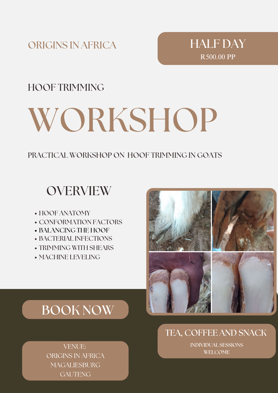 Hoof trimming workshop half day