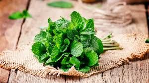 Mint leaves 