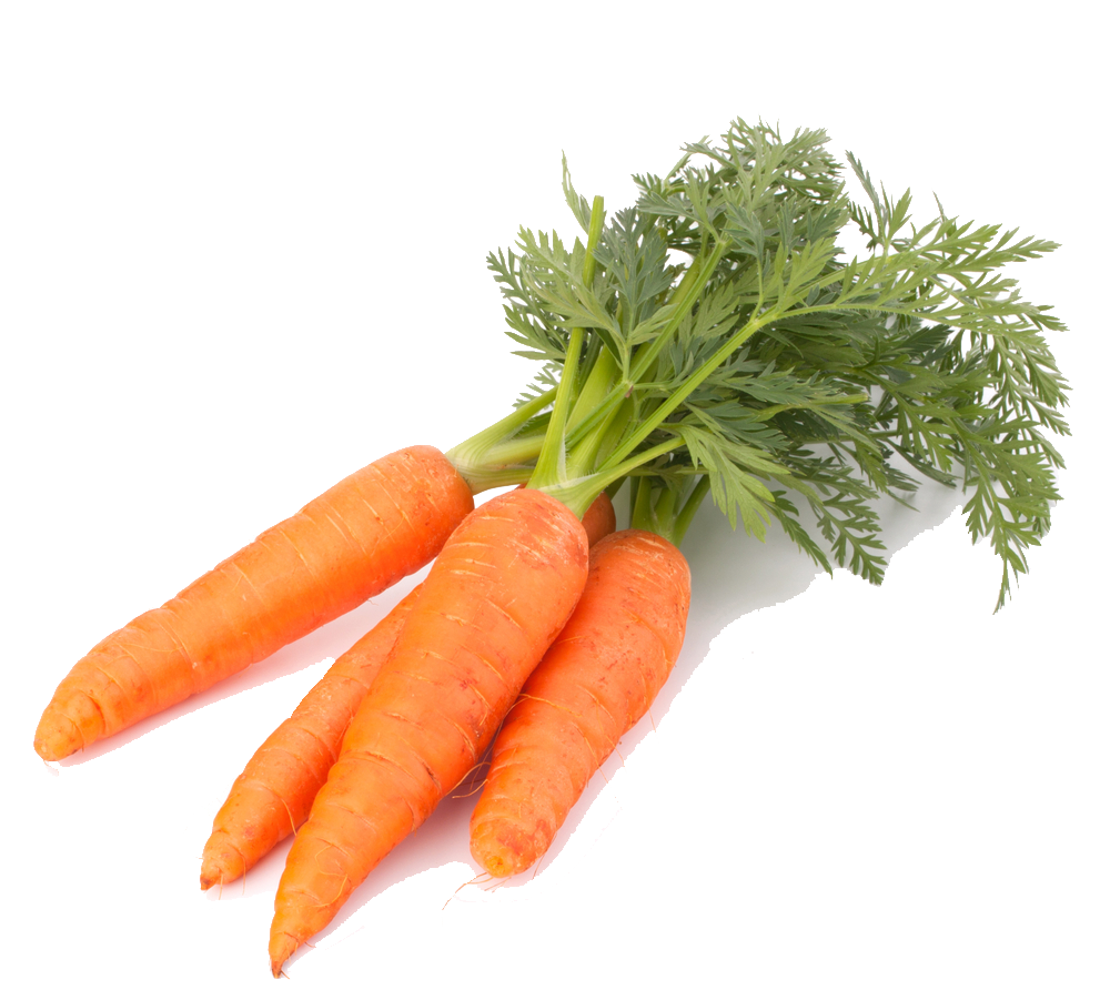 Carrot 