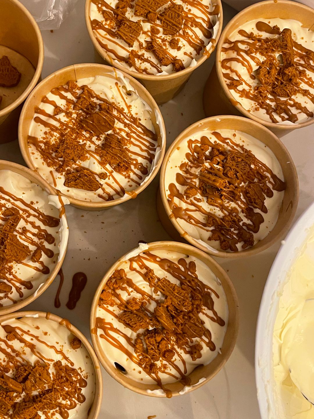 Speculoos