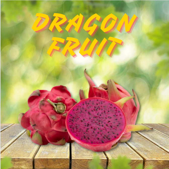 DRAGON FRUIT