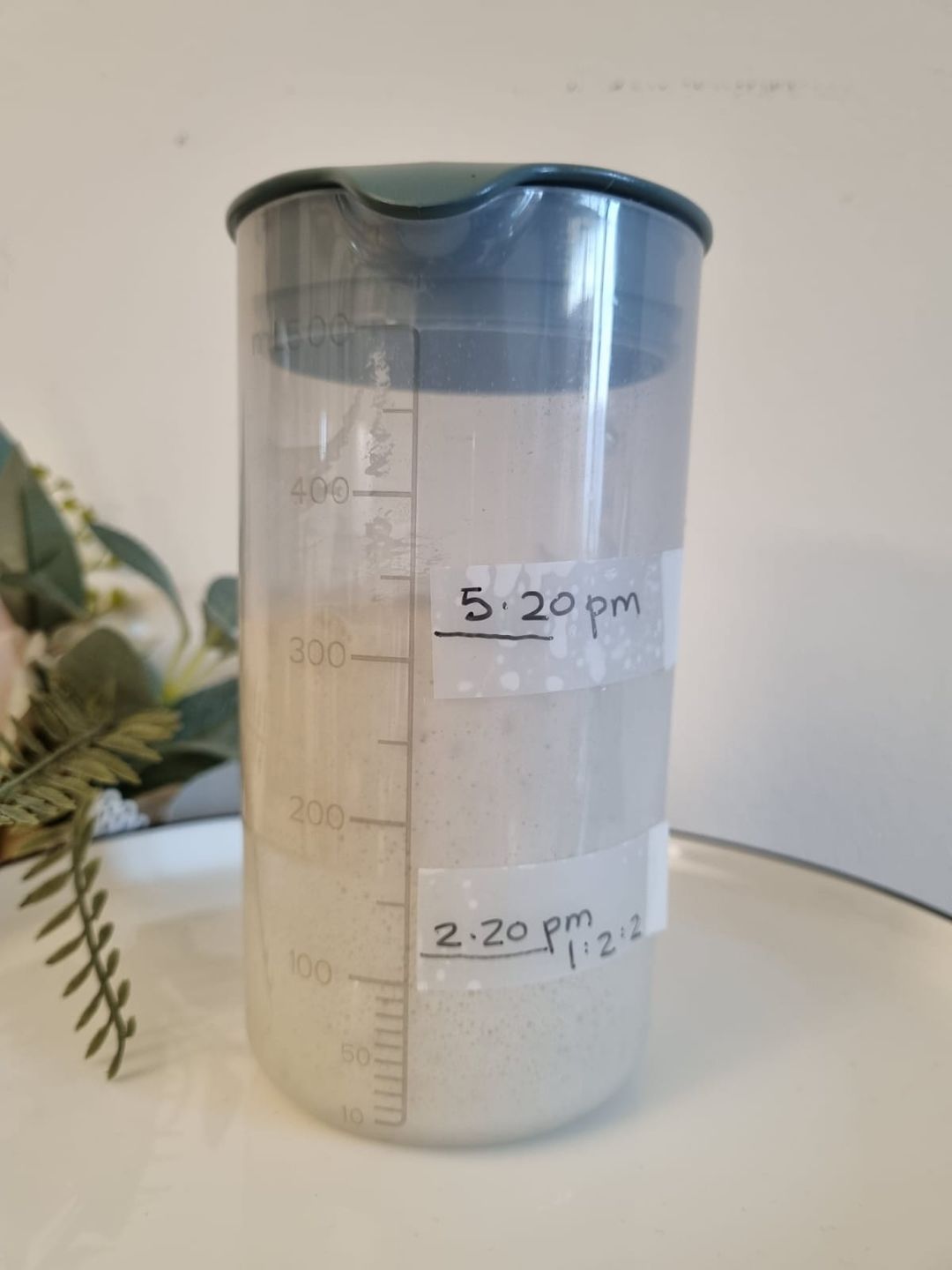 Sourdough Starter (50g)