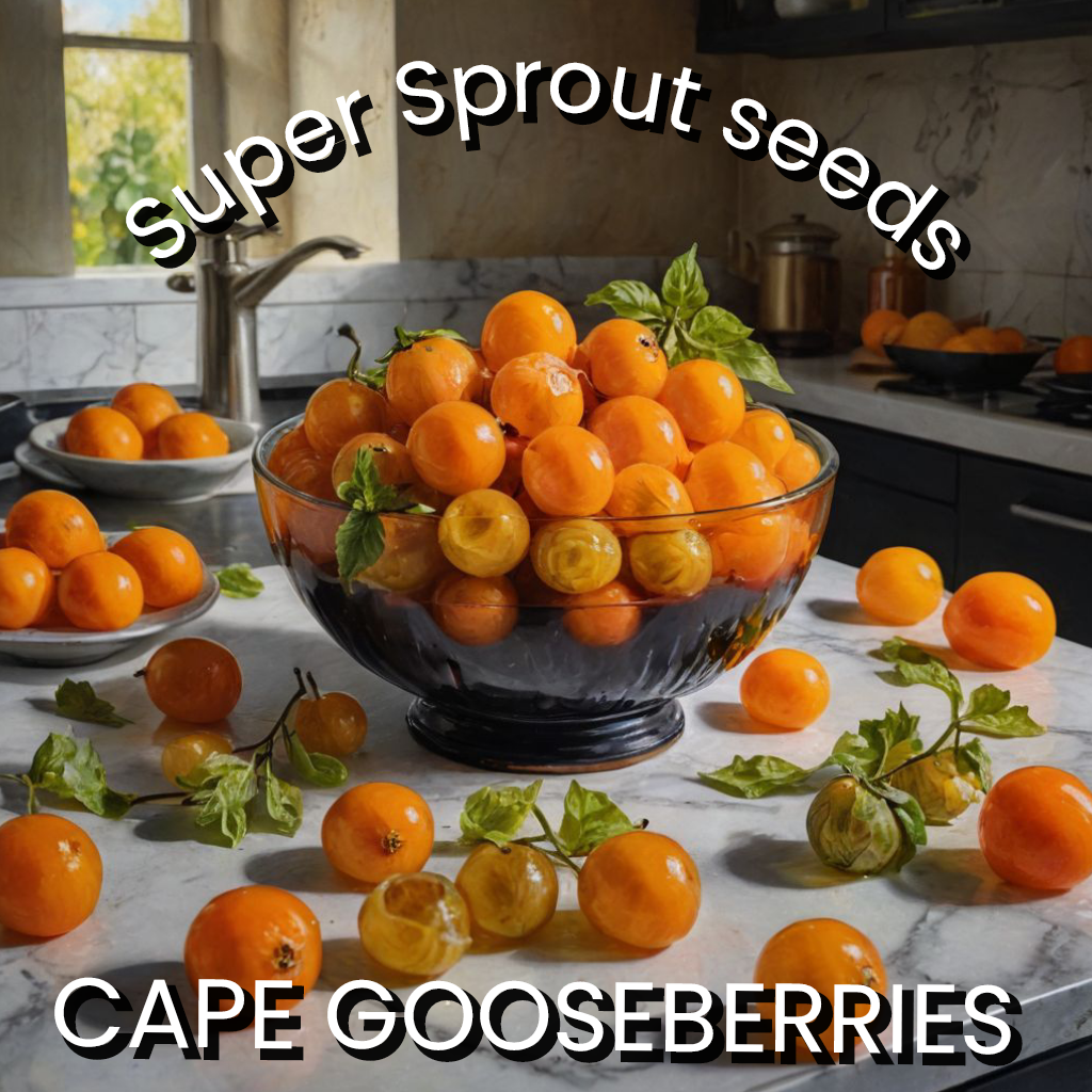 🍒CAPE GOOSEBERRIES🍒 x 50+ seeds