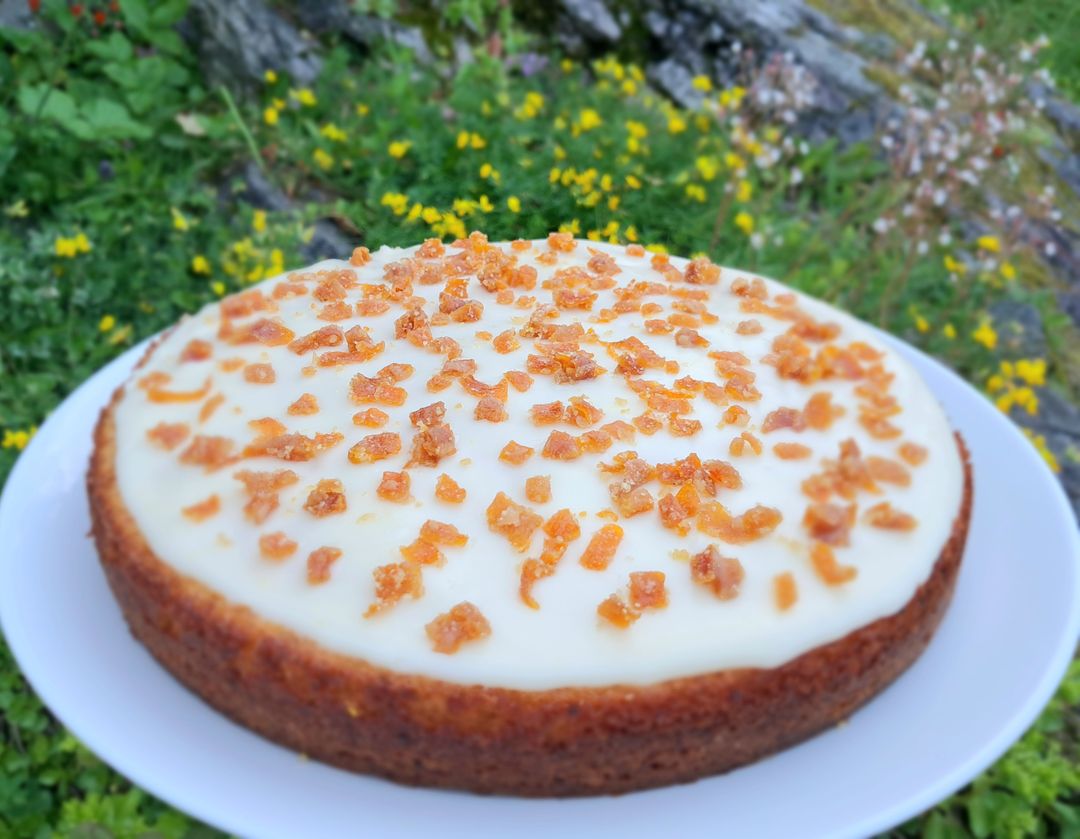 Ambrosia Cake 23cm 🍊 🇸🇪 