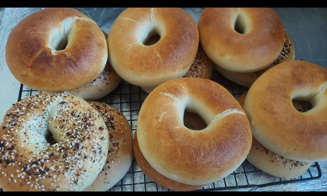 Plain Bagel 