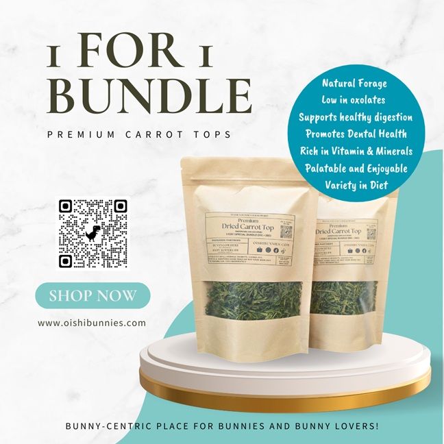 1 For 1 Special Bundle - Premium Dried Carrot Top (35g + 35g)