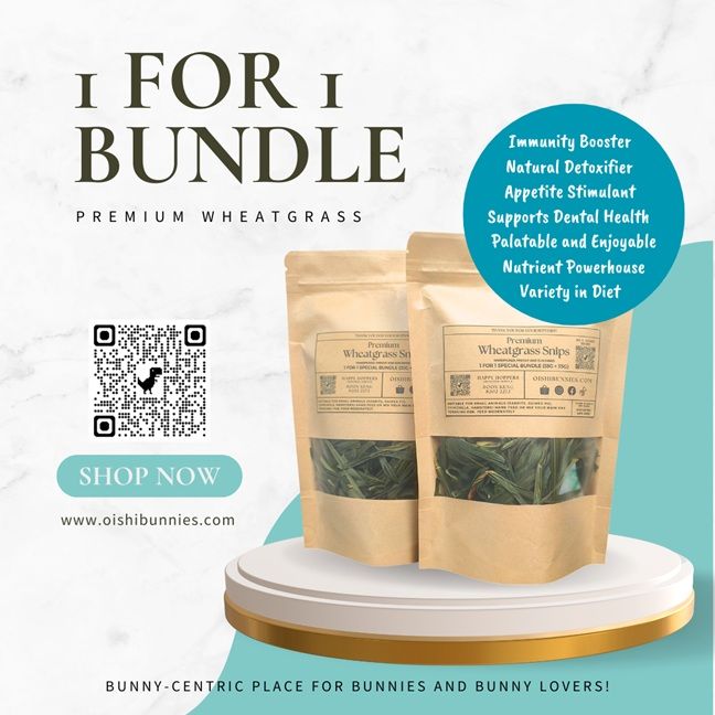1 For 1 Special Bundle - Premium Wheatgrass Shoot (35g + 35g)