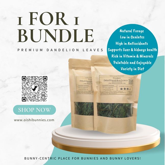 1 For 1 Special Bundle - Premium Dried Dandelion Leaves (35g + 35g)